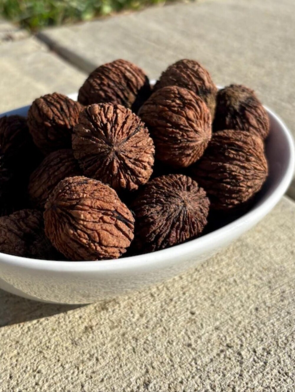 2 POUNDS Of FRESHLY HARVESTED BLACK WALNUTS IN THE SHELL
